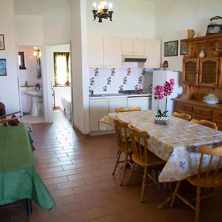 Apartment Incantevole Con Piscina Ricadi