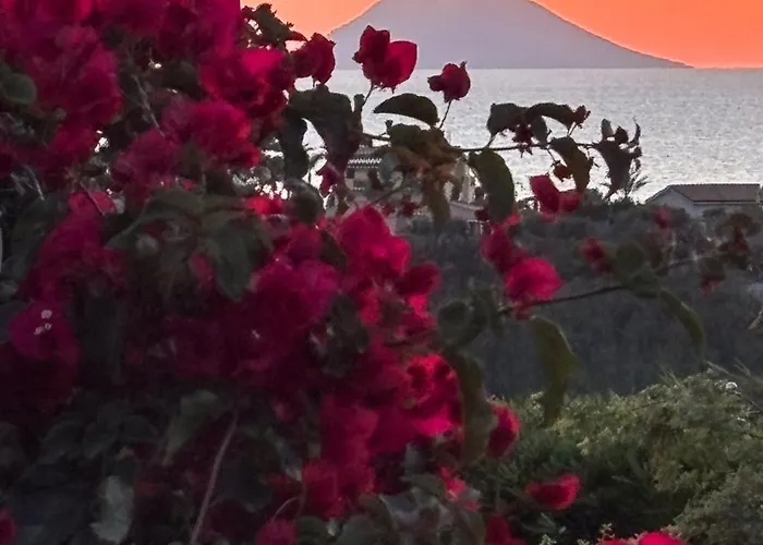 Apartamento Incantevole Con Piscina